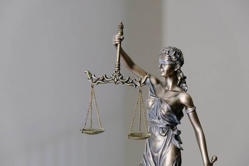 Specializations In Law